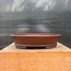 Bigei 5.75"x4.25"x1" Oval Tokoname Japanese bonsai pot.