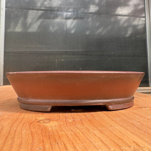 Bigei Tokoname Japanese Bonsai Pot.  Unglazed oval.