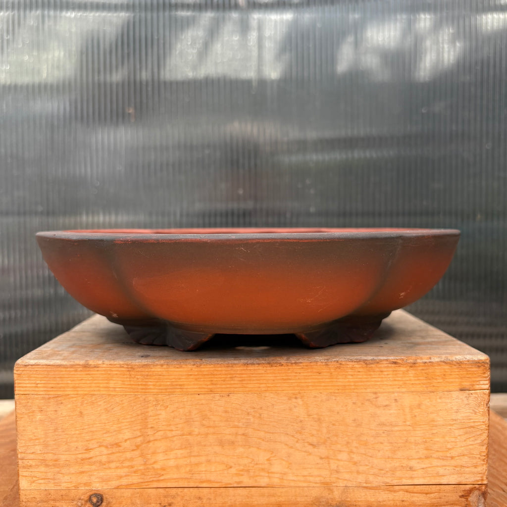 Bigei 6.5"x5.75"x1.5" Lotus Shaped Unglazed Bonsai Pot