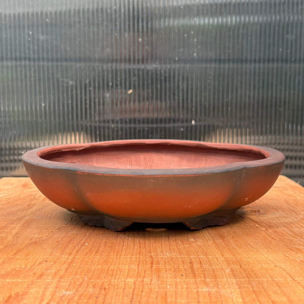 Elegant lotus-shape unglazed pot made by Bigei.  Beautiful dark terracotta colour.