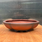Elegant lotus-shape unglazed pot made by Bigei.  Beautiful dark terracotta colour.