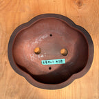 Bigei 6.5"x5.75"x1.5" Lotus Shaped Unglazed Bonsai Pot Top view.  Shows 2 drainage hole and 2 wire holes.
