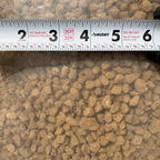 Bonsai earth triple line hard akadama 6-9mm grain size, large particle.