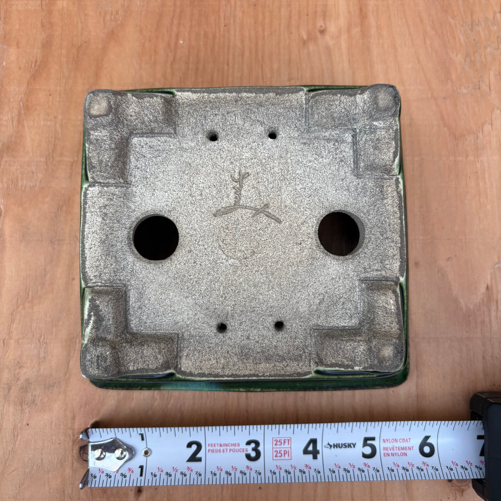 Satomi Terahata 5"x4.5"x1.75" Glazed Bonsai Pot