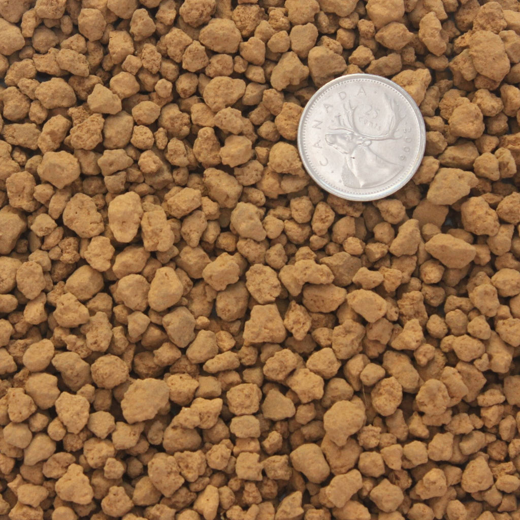 Hard-fired Akadama close up showing reddish brown colour, granule texture and 3-6mm grain size.