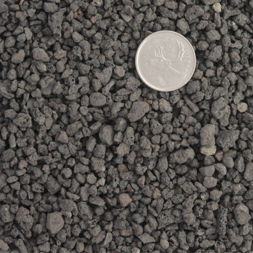 Close up particle size of the porous surface of black lava, for bonsai soil structure, drainage and aeration.