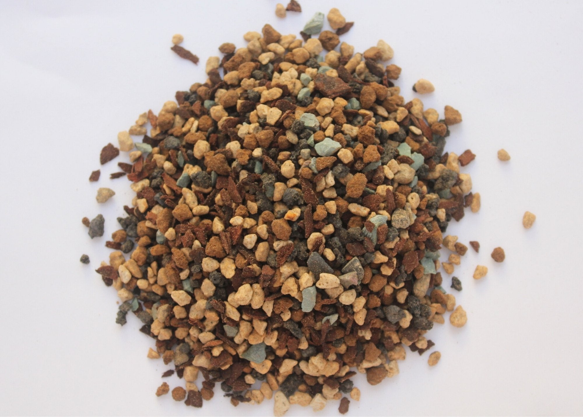 Close up photo of Bonsai Botanicals Conifer Blend.