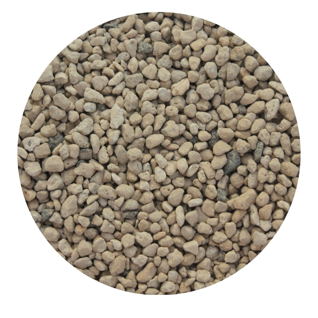 Macro view of Hyuga-tsuchi volcanic pumice showing the highly porous surface that improves oxygen flow to bonsai roots.
