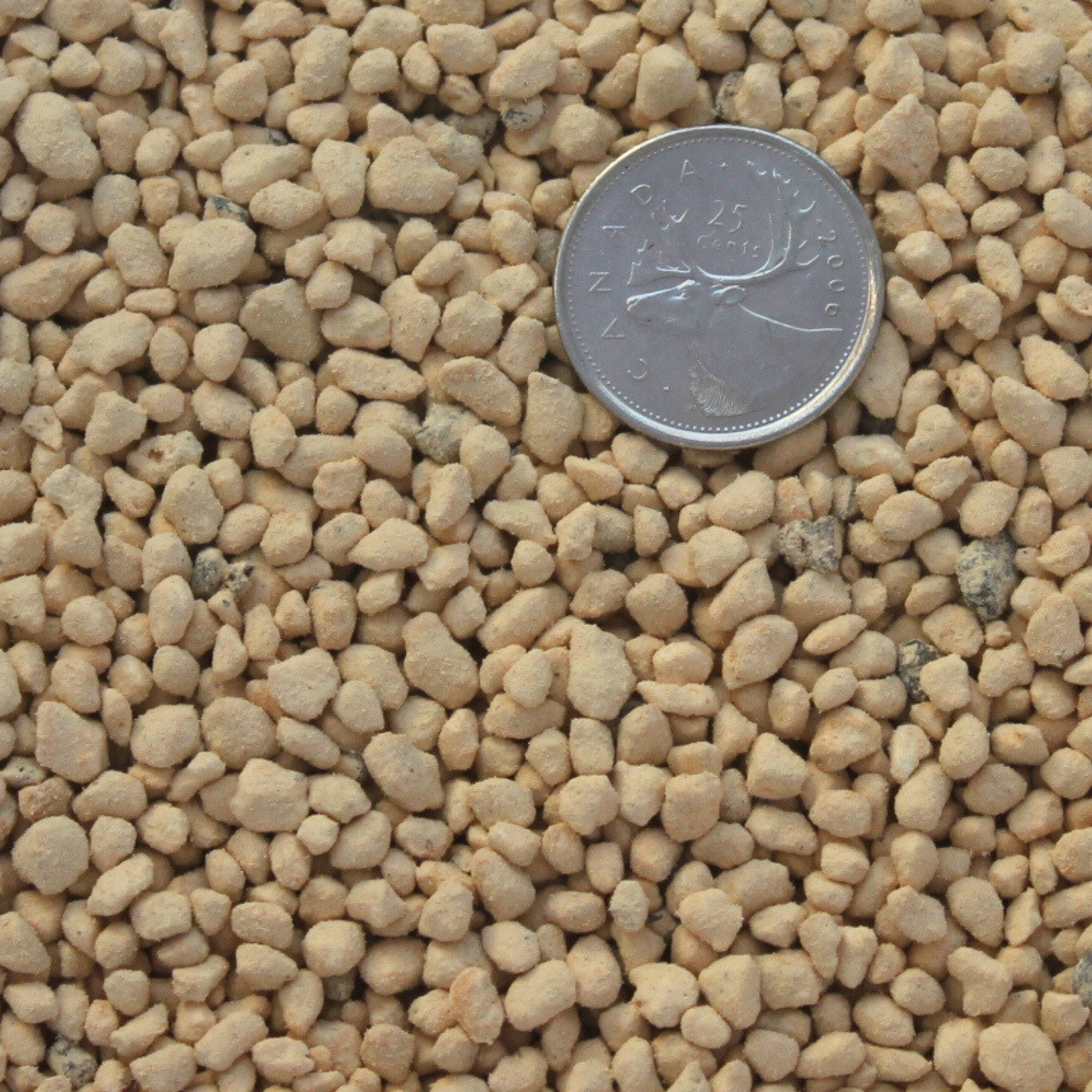 kanuma-tsuchi japanese volcanic substrate 3-6mm size close up great for acid-loving loving plants