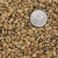 Close up detail of kiryuzuna showing grain size and brown/beige colour.