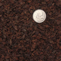 Close up image of Pinus Radiata (Orchiata) showing 3-6mm precision size.