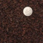 Close up image of Pinus Radiata (Orchiata) showing 3-6mm precision size.